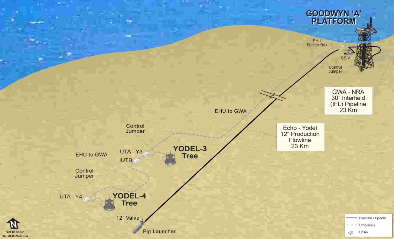 Echo Yodel development schematic