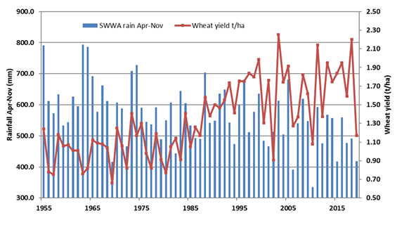 South West WA winter rain and wheat yield