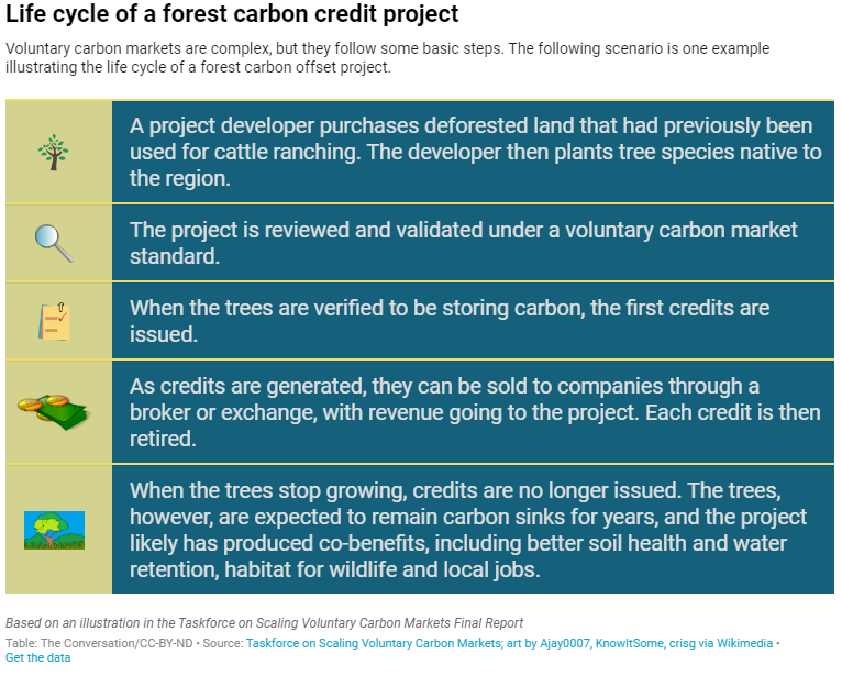 Life cycle of a forest carbon credit project