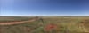 Feds shoot a rare green arrow at $US36B Pilbara ammonia hub