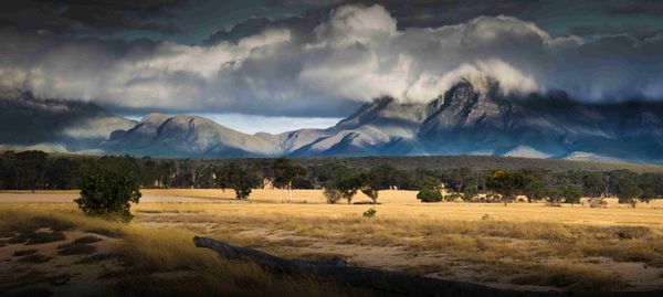 Shell goes carbon farming in Australia