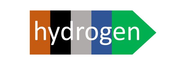 Cheap green hydrogen to push out alternatives and threaten gas: BloombergNEF