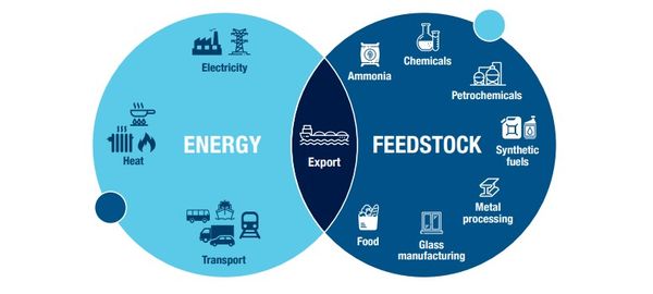 Ammonia export a hope amidst Australia’s hydrogen hype: BNEF